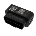 600px-FMB003-4000×4000-5